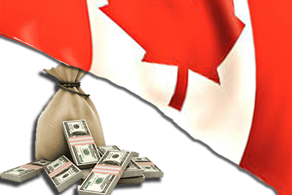 Xuất khẩu Canada hết bao nhiêu tiền và bao gồm những khoản nào