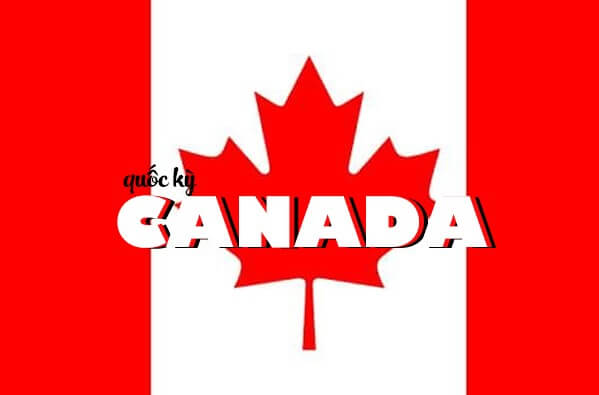 quốc kỳ canada, lá cờ canada, lá cờ của canada, lá cờ nước canada, cờ canada có lá gì, lá cờ của nước canada, quốc kỳ của canada, quốc kỳ canada có hình lá gì, lá trên cờ canada, hình ảnh lá cờ canada, quốc kỳ nước canada, biểu tượng lá cờ canada, hình ảnh lá cờ nước canada, lá trên quốc kỳ canada, lá phong trên cờ canada, chiếc lá trên cờ canada, hình lá cờ canada, ý nghĩa lá cờ của canada, ý nghĩa lá cờ canada, hình ảnh quốc kỳ canada, quốc kỳ của nước canada, cờ canada, cờ nước canada, cờ của canada, quốc kì canada, cờ lá phong, ý nghĩa quốc kỳ canada, cờ của nước canada, lá cờ có hình chiếc lá, cờ có hình chiếc lá, ý nghĩa cờ canada, canada cờ, cờ cannada, ảnh cờ canada