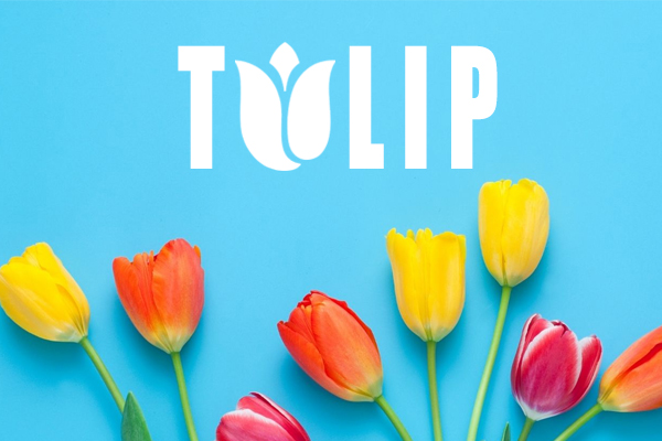hoa tulip, ý nghĩa hoa tulip, hoa tulip trắng, hoa tulip ở nước nào, hoa tulip vàng, hoa tulip đỏ, hoa tulip đen, hoa tulip hồng, hoa tulip hà lan, hoa tulip ý nghĩa, hoa tulip có ý nghĩa gì, hoa tulip là biểu tượng của nước nào, hoa tulip tượng trưng cho điều gì, hoa tulip của nước nào, hoa tulip ở hà lan, gioi thieu ve hoa tulip, hoa tulip là hoa gì, hoa tulip đẹp nhất thế giới, hoa tulip tượng trưng cho nước nào, hoa tulip ý nghĩa gì, hoa tulip là quốc hoa của nước nào, hoa tulip biểu tượng cho gì, hoa tulip là của nước nào, hoa tulip xuất xứ ở đâu, hoa tulip hà lan tuyệt đẹp, hoa tulip dep nhat the gioi, tulip là quốc hoa của nước nào, hoa tulip ở đâu, hoa tulip biểu tượng của nước nào, quốc hoa của hà lan, hoa tulip la bieu tuong nuoc nao, quốc hoa hà lan