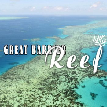 great barrier reef, the great barrier reef, great barrier reef australia, rạn san hô great barrier, rặng san hô great barrier, the great barrier reef là gì, great barrier reef là gì, great barrier reef ở đâu, rạn san hô lớn nhất thế giới đang bị tẩy trắng có tên là:, great barrier, rạn san hô lớn nhất thế giới