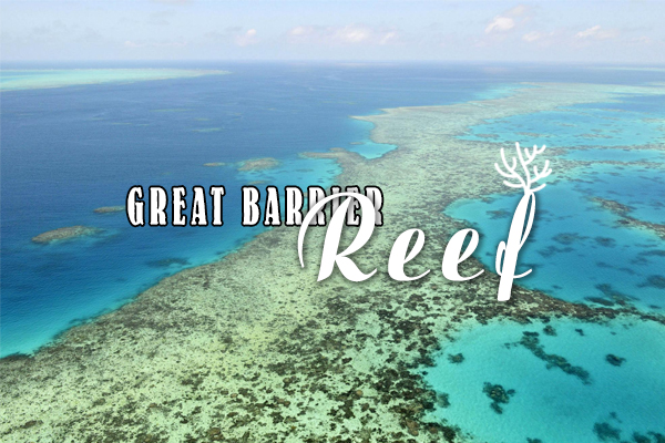 great barrier reef, the great barrier reef, great barrier reef australia, rạn san hô great barrier, rặng san hô great barrier, the great barrier reef là gì, great barrier reef là gì, great barrier reef ở đâu, rạn san hô lớn nhất thế giới đang bị tẩy trắng có tên là:, great barrier, rạn san hô lớn nhất thế giới