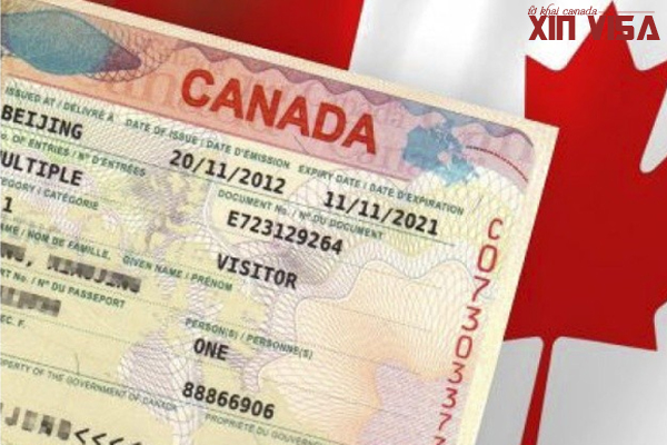 mẫu đơn xin visa canada, mau don xin visa du lich canada, tờ khai xin visa canada (form imm5257), mẫu đơn imm 5257 e, form imm5257, imm5645, form imm 5257, imm 5645, mẫu đơn xin visa canada