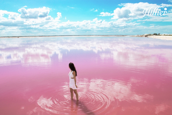hồ hillier, hồ hillier úc, hồ hillier (australia), hồ nước màu hồng hillier, hồ nước hồng hillier australia, hồ hillier ở australia, hồ nước hồng, hồ nước màu hồng, hồ nước hồng ở úc, hồ màu hồng ở úc, hồ nước màu hồng ở úc