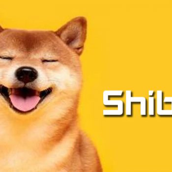 chó shiba, chó shiba cười, chó shiba cute, mua chó shiba, chó shiba inu, shiba chó, con chó shiba, chú chó shiba, chó shiba ngáo, chó shiba nhật, giá của shiba inu, chó shiba inu giá, chó shiba mua ở đâu, chó shiba mập, chó shiba thuần chủng, chó giống shiba, chó shiba nhật giá bao nhiêu, chó shiba là gì, dòng chó shiba, chó shiba inu con, chó shiba ăn gì, chó nhật shiba inu