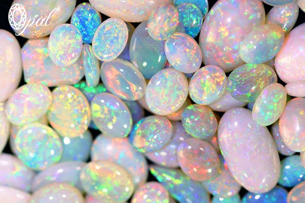 đá opal úc, opal úc, đá opal giá bảo nhiều, đá opal, mua đá opal, giá đá opal, đá opal đen, đá opal nước, opal là gì, viên đá opal, đá opal xanh, đá opal trắng, đá opal là gì, đá opal thô, đá quý opal giá bảo nhiều, đá opal có tác dụng gì, đá opal nhân tạo, đá quý opal, ý nghĩa đá opal, đá opal thiên nhiên, ý nghĩa của đá opal, đá opal của úc, đá opal giá, đá opal giá bao nhiều, các loại đá opal, đá opan, dđá opal