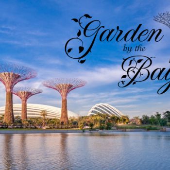 garden by the bay, garden by the bay singapore, garden by the bay là địa điểm du lịch nổi tiếng của nước nào, garden by the bay là gì, garden by the bay ở singapore, garden by the bay ở đâu, garden by the bay có gì, giới thiệu về garden by the bay