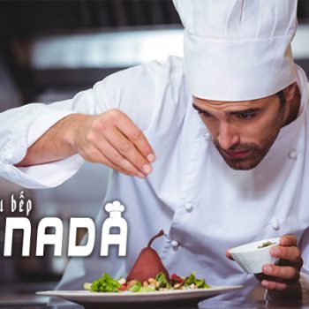 tuyển đầu bếp đi canada, nghề đầu bếp ở canada, học nghề đầu bếp ở canada, ngành đầu bếp tại canada, du học ngành đầu bếp tại canada, tuyển đầu bếp làm việc tại canada, lương đầu bếp ở canada, ngành đầu bếp ở canada, học đầu bếp tại canada, học đầu bếp ở canada, du học nghề đầu bếp tại canada