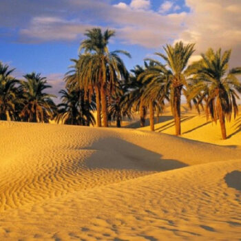 sa mạc sahara, nhiệt độ ở sa mạc sahara, tìm hiểu về sa mạc sahara, thực vật ở sa mạc sahara, cuộc sống ở sa mạc sahara, bản đồ sa mạc sahara, sa mạc sahara bao nhiều độ, sa mạc sahara trên bản đồ, bí ẩn về sa mạc sahara, nhiệt độ ban đêm ở sa mạc sahara, dự báo thời tiết sa mạc sahara, những điều cần biết về sa mạc sahara, sa mạc sahara của nước nào, sa mạc sahara thuộc châu lục nào, sa mạc sahara ở châu lục nào, sa mạc sahara ở châu nào, cuộc sống trên sa mạc sahara, con vật ở sa mạc sahara, sa mac sahara o dau, sa mac sahara nam o dau, diện tích sa mạc sahara, du lịch sa mạc sahara, diện tích sa mạc sahara trên thế giới, địa hình sa mạc sahara, đặc điểm sa mạc sahara, điều thú vị về sa mạc sahara, sa mạc sahara thuộc nước nào, sa mạc sahara thuộc quốc gia nào, sa mạc sahara trên thế giới, sa mạc sahara nóng nhất thế giới, sa mạc sahara lớn nhất thế giới, giới thiệu về sa mạc sahara, khí hậu sa mạc sahara, hoạt hình sa mạc sahara, khám phá sa mạc sahara, khí hậu ở sa mạc sahara, sa mạc sahara nằm ở châu lục nào, sa mạc sahara nằm ở đâu, sa mạc sahara nằm ở nước nào, sa mạc sahara ở nước nào, nhiệt độ của sa mạc sahara, những sự thật về sa mạc sahara, những điều về sa mạc sahara, sa mac sahara o nuoc nao, sa mac sahara nam o nuoc nao,