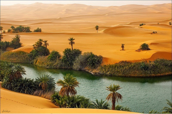 sa mạc sahara, nhiệt độ ở sa mạc sahara, tìm hiểu về sa mạc sahara, thực vật ở sa mạc sahara, cuộc sống ở sa mạc sahara, bản đồ sa mạc sahara, sa mạc sahara bao nhiều độ, sa mạc sahara trên bản đồ, bí ẩn về sa mạc sahara, nhiệt độ ban đêm ở sa mạc sahara, dự báo thời tiết sa mạc sahara, những điều cần biết về sa mạc sahara, sa mạc sahara của nước nào, sa mạc sahara thuộc châu lục nào, sa mạc sahara ở châu lục nào, sa mạc sahara ở châu nào, cuộc sống trên sa mạc sahara, con vật ở sa mạc sahara, sa mac sahara o dau, sa mac sahara nam o dau, diện tích sa mạc sahara, du lịch sa mạc sahara, diện tích sa mạc sahara trên thế giới, địa hình sa mạc sahara, đặc điểm sa mạc sahara, điều thú vị về sa mạc sahara, sa mạc sahara thuộc nước nào, sa mạc sahara thuộc quốc gia nào, sa mạc sahara trên thế giới, sa mạc sahara nóng nhất thế giới, sa mạc sahara lớn nhất thế giới, giới thiệu về sa mạc sahara, khí hậu sa mạc sahara, hoạt hình sa mạc sahara, khám phá sa mạc sahara, khí hậu ở sa mạc sahara, sa mạc sahara nằm ở châu lục nào, sa mạc sahara nằm ở đâu, sa mạc sahara nằm ở nước nào, sa mạc sahara ở nước nào, nhiệt độ của sa mạc sahara, những sự thật về sa mạc sahara, những điều về sa mạc sahara, sa mac sahara o nuoc nao, sa mac sahara nam o nuoc nao, 