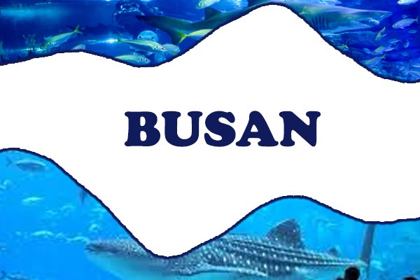 Thành phố Busan thuộc miền nào của Hàn Quốc?