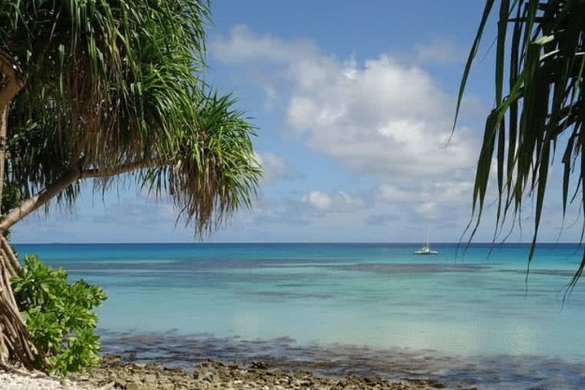 Bãi biển tuyệt đẹp của Tuvalu với hàng cọ xanh tươi và làn nước trong vắt