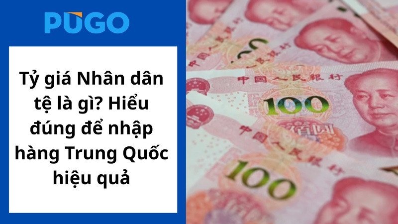 Biểu đồ tỷ giá Nhân dân tệ và Đồng Việt Nam, minh họa sự biến động trong giao dịch tiền tệ
