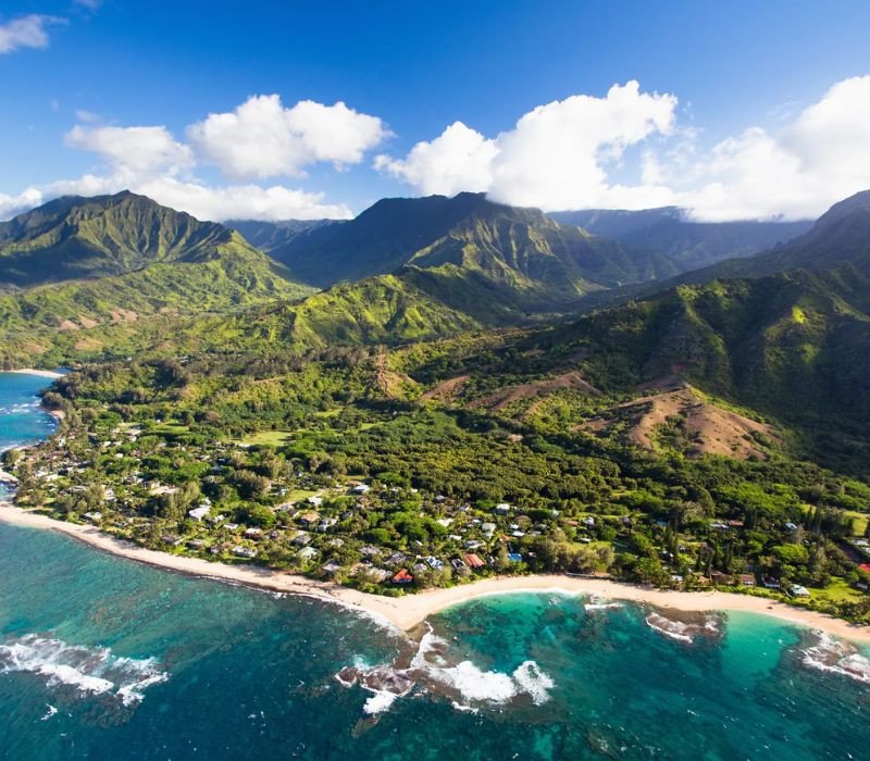 Bờ biển Hawaii hoang sơ với cây cối xanh tươi, biểu tượng của cảnh đẹp nước Mỹ nhiệt đới.