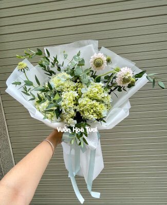 Bó hoa cẩm tú cầu xanh dịu dàng, lựa chọn tinh tế cho kỷ yếu của phái nữ
