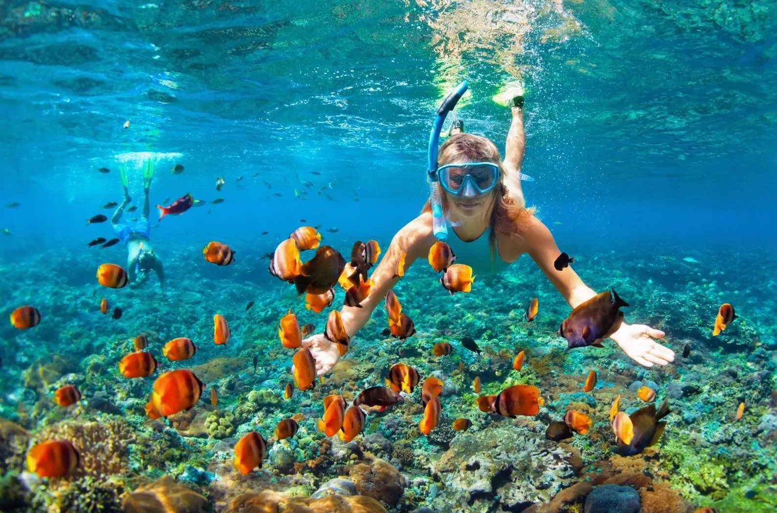 Các môn thể thao dưới nước sôi động tại quần đảo Hawaii