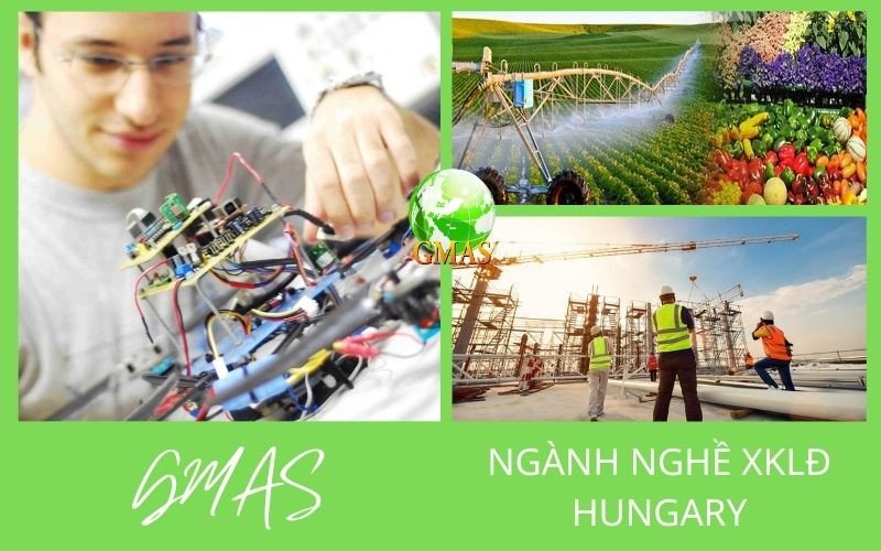 Các ngành nghề phổ biến cho người Việt làm việc tại Hungary
