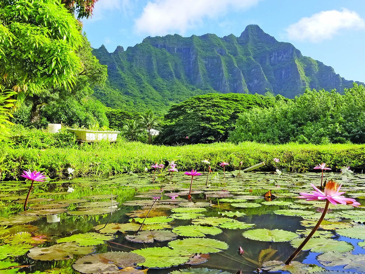 Cảnh quan thiên nhiên độc đáo của quần đảo Hawaii