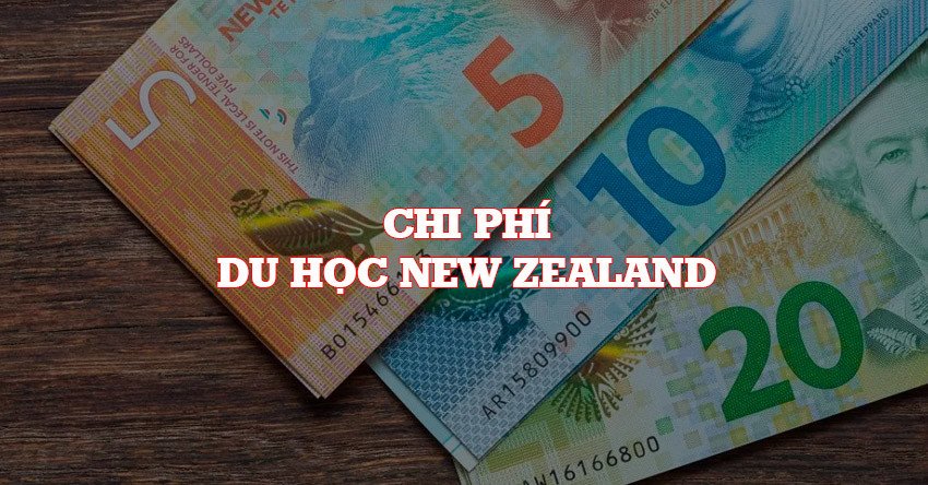 Chi phí du học New Zealand: Điều kiện tài chính cần biết