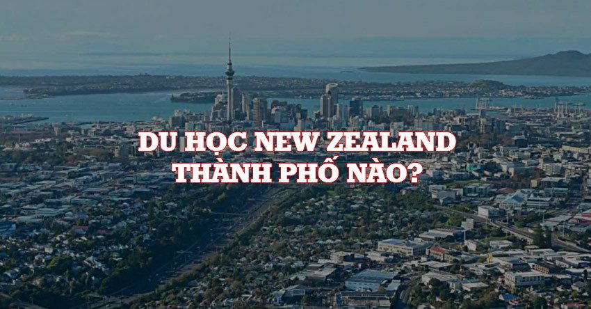 Chọn trường và thành phố nào khi du học New Zealand