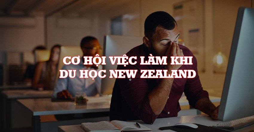 Cơ hội việc làm khi du học New Zealand