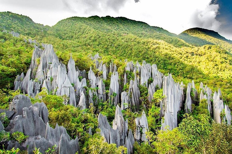 Cửa hang động khổng lồ trong Công viên Quốc gia Gunung Mulu, với ánh sáng tự nhiên chiếu vào tạo nên khung cảnh hùng vĩ và bí ẩn.