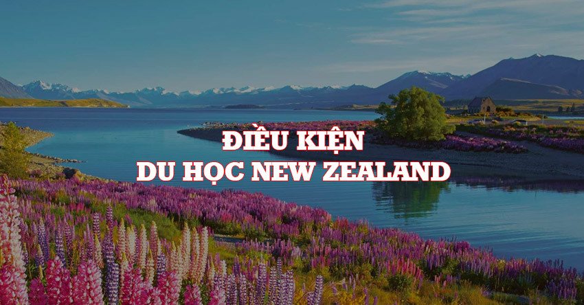Điều kiện du học New Zealand cần đạt được
