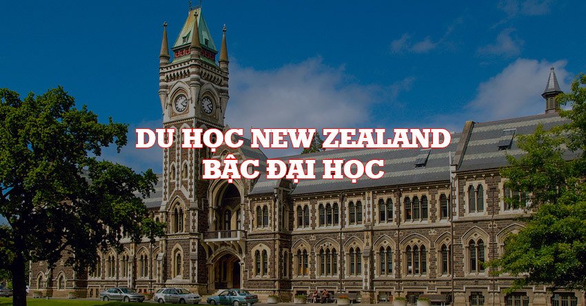 Điều kiện du học New Zealand ở bậc đại học