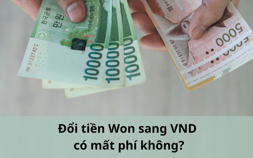 Đổi tiền Won sang tiền Việt có mất phí giao dịch