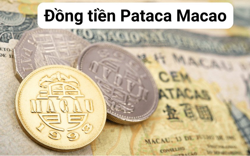 Đồng tiền Pataca Macao và các thông tin cơ bản
