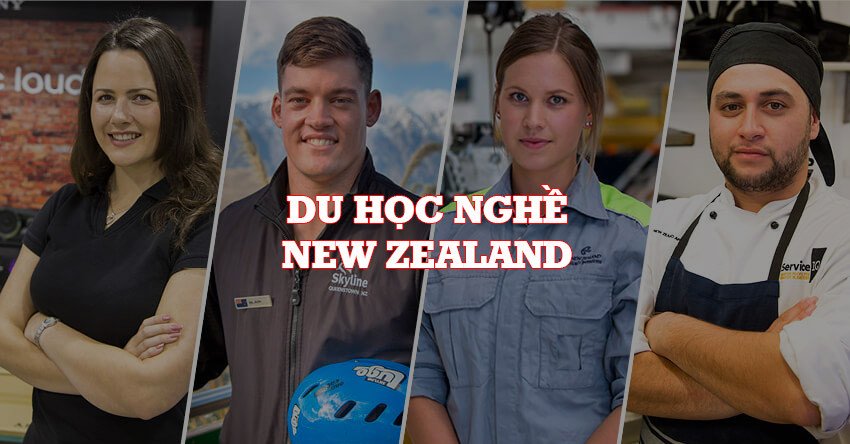 Du học nghề New Zealand với điều kiện dễ dàng và cơ hội việc làm cao