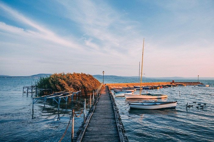 Gia đình hạnh phúc dạo chơi tại một công viên xanh ở Hungary, minh họa lợi ích định cư cho cả gia đình