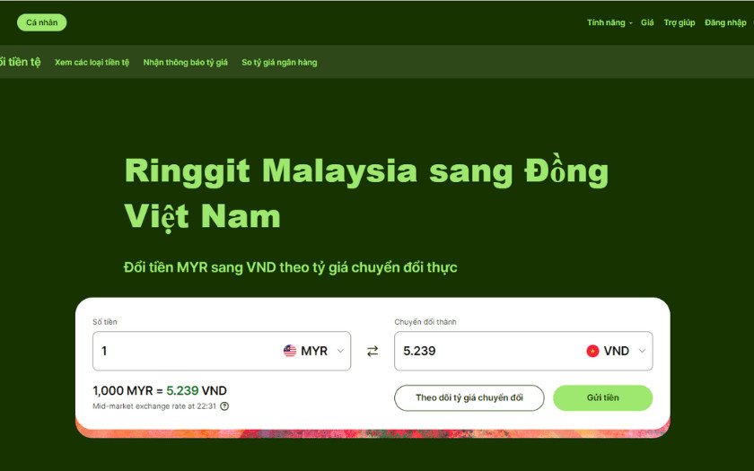 Giao diện website Wise để chuyển đổi tiền tệ Ringgit Malaysia