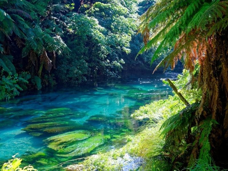 Hình ảnh thành phố Wellington, New Zealand với các tòa nhà hiện đại và cầu cảng nhộn nhịp, minh họa cho môi trường sống đa văn hóa