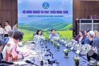 Hoạt động đánh giá và lập kế hoạch tài chính cho các khoản đầu tư quốc tế, bao gồm việc chuyển đổi 3 triệu USD sang tiền Việt Nam.
