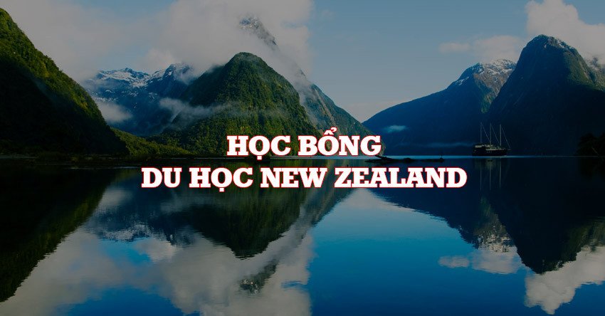 Học bổng du học New Zealand: Điều kiện và cơ hội