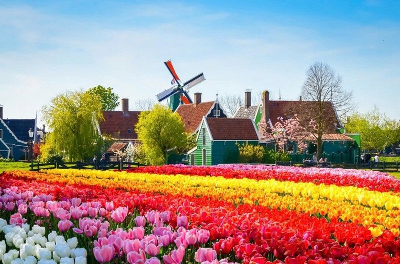Kênh đào cổ kính và kiến trúc đặc trưng tại Amsterdam, Hà Lan