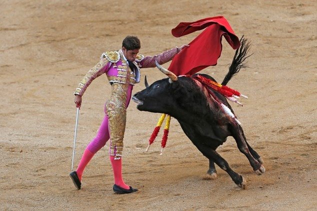 Khán đài đấu bò tót trống vắng, phản ánh lệnh cấm đấu bò tót tại khu tự trị Catalan.