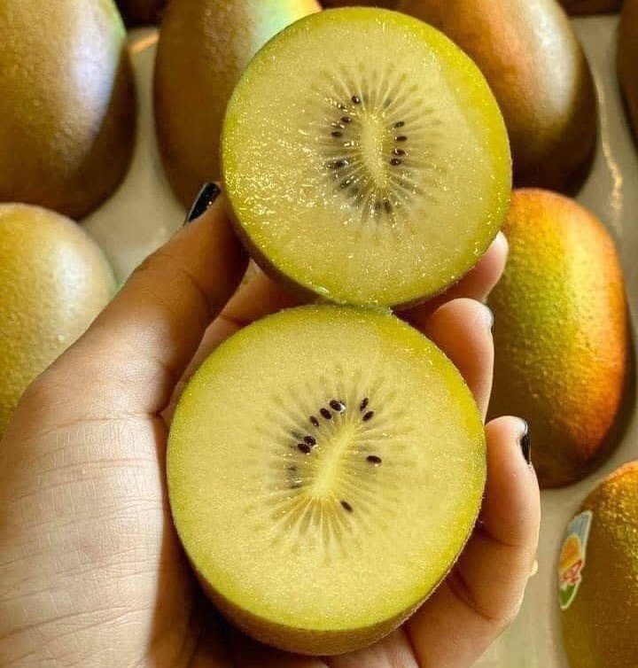 Kiwi vàng nhập khẩu New Zealand