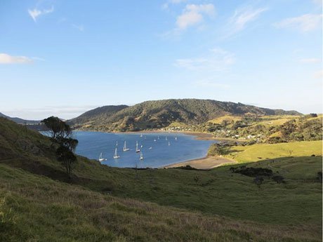 Lớp học ngoài trời độc đáo tại New Zealand