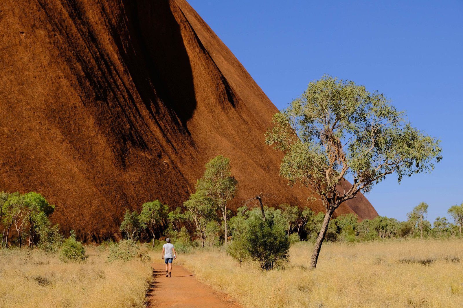 Một người đàn ông bản địa Úc đang kể chuyện hoặc biểu diễn tại Uluru