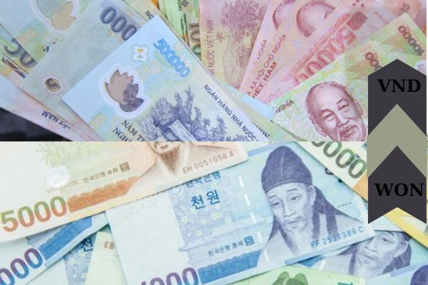Người dùng đang tìm hiểu về các lưu ý khi đổi tiền Won Hàn Quốc