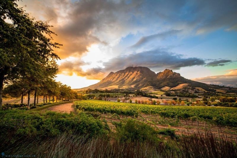 Núi Bàn, biểu tượng du lịch độc đáo của thành phố Cape Town