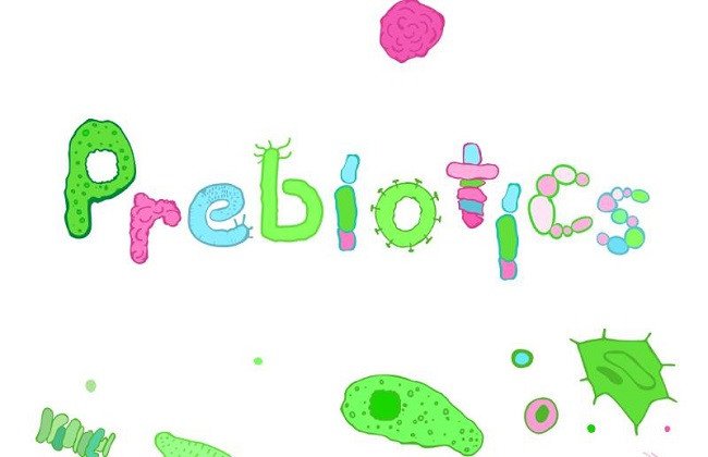 Prebiotics GOS/FOS tỷ lệ 9:1, thành phần quan trọng của sữa Aptamil New Zealand