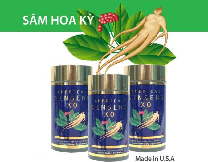 Sâm Hoa Kỳ XO Dược Thảo Toàn Chân, American Ginseng XO