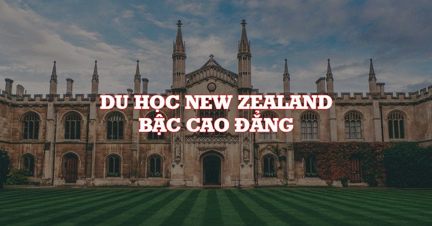 Sinh viên học tập tại cao đẳng New Zealand với điều kiện thuận lợi
