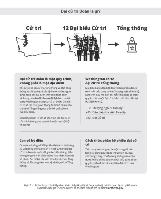 Sơ đồ minh họa quá trình Cử tri đoàn quyết định kết quả bầu cử tổng thống Hoa Kỳ