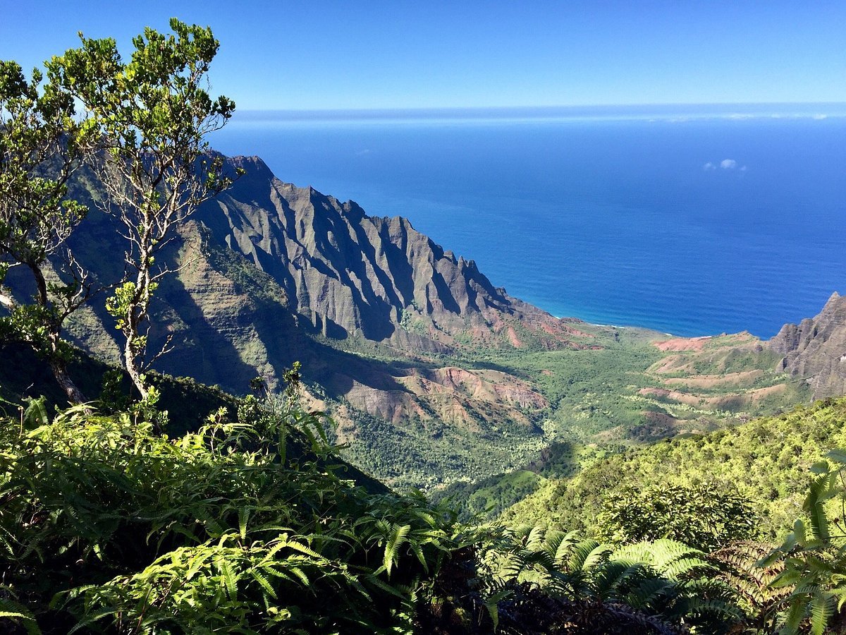 Thác nước hùng vĩ trong Khu Bảo tồn Thiên nhiên Kokee, Hawaii