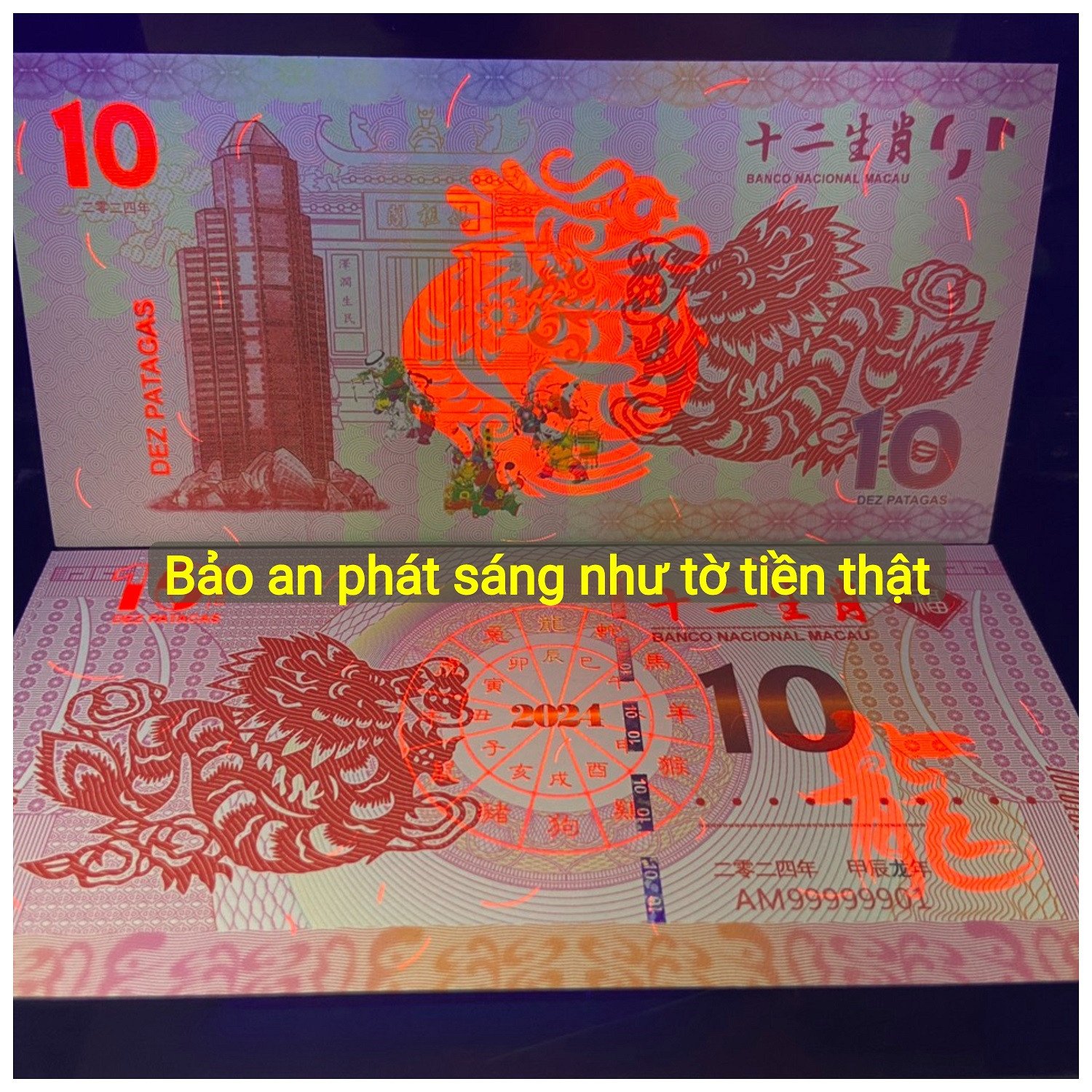 Tiền con rồng Macao 10 Pataca lưu niệm dưới ánh đèn UV hiển thị hình chìm, đặc điểm bảo an của tiền phong thủy