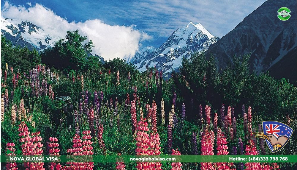 Toàn cảnh khí hậu New Zealand từ núi đến biển
