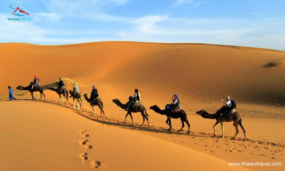 Xe vượt địa hình trên Sa mạc Safari